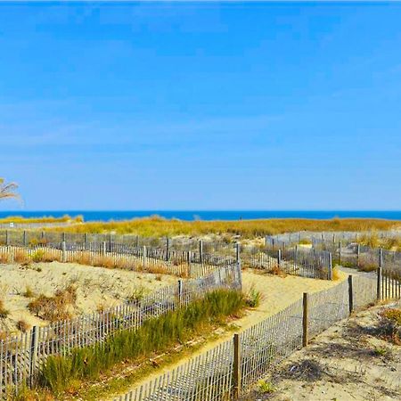 Tropicana 8 Ocean City Bilik gambar